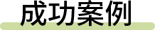 成功案例